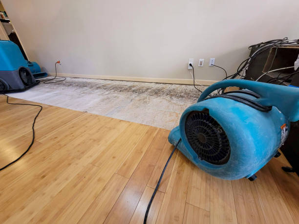 Professional Flood Damage Cleanup technician working in Woodruff, AZ